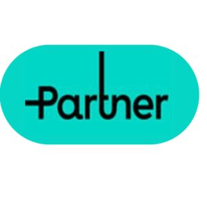 Интернет Partner 1000Mb