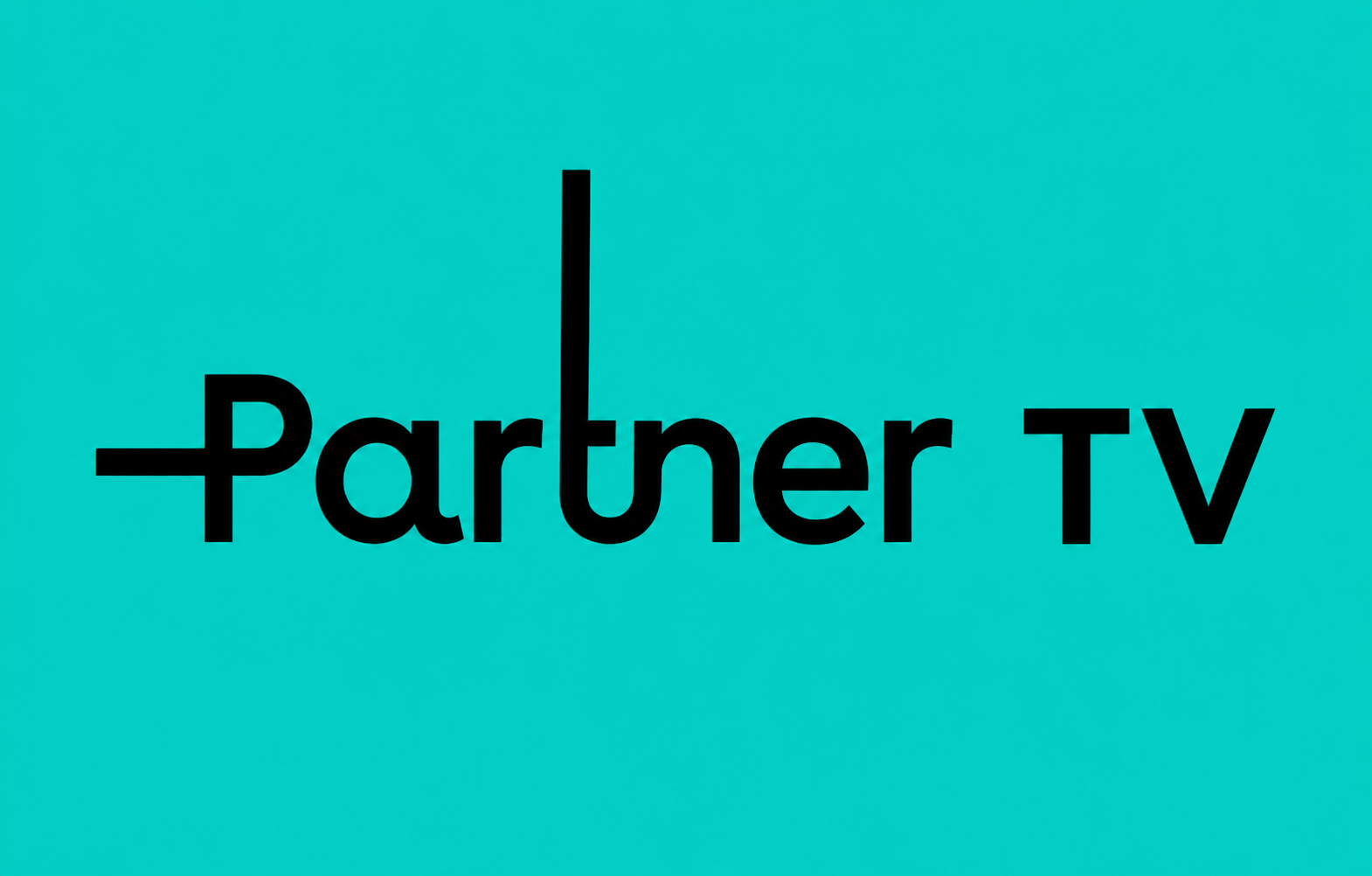 Partner